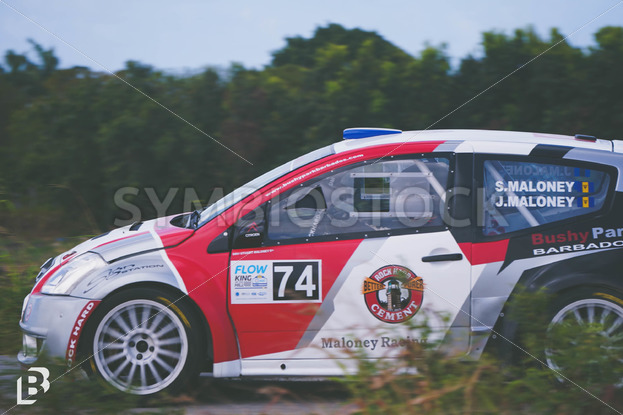 BimVibesKingOfTheHill-104.jpg - BimVibes BimVibesKingOfTheHill-104.jpg - BimVibes